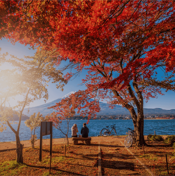 highlights of japan product