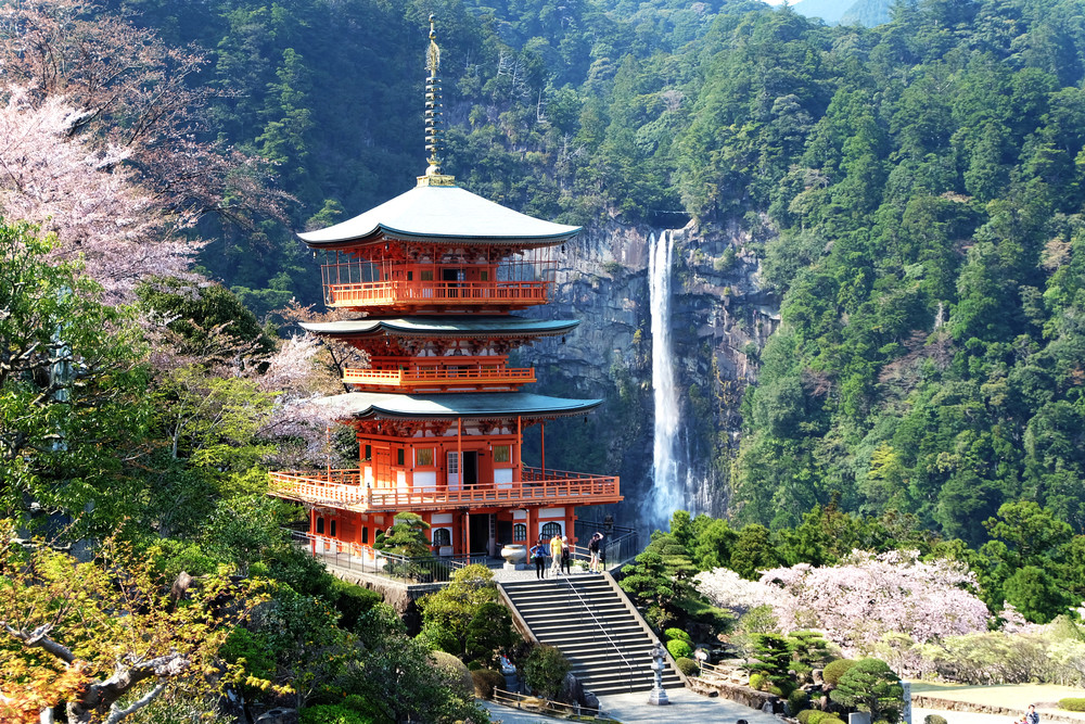 Nachi Taisha 