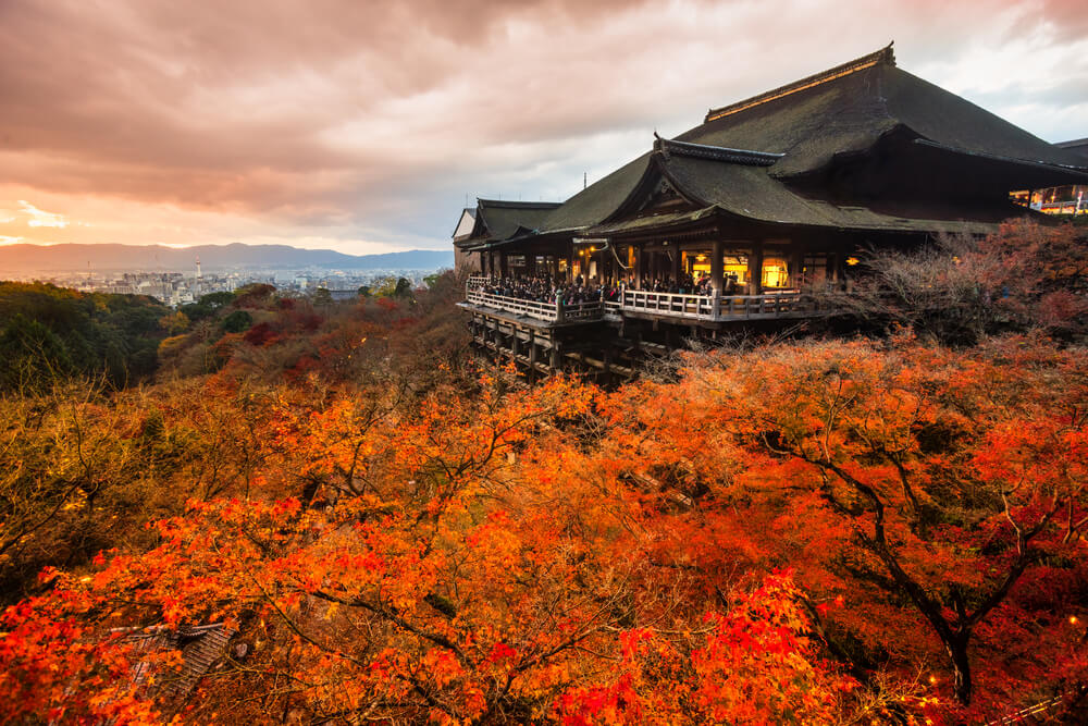 autumn travel in japan